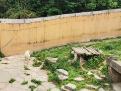 -宁波野生动物园