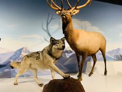 -陕西自然博物馆