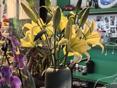 -绿壁虎攀岩基地(Tcar店)