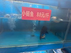 -苗家大院酸汤鱼(贵阳北站店)