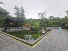-雨花胜境