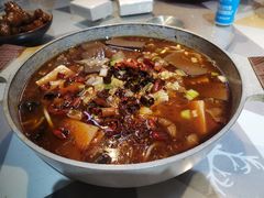 -京城·森鸽排档(双井店)