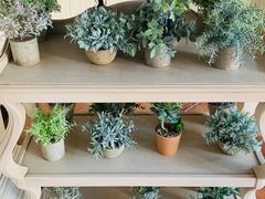 -朝郡酒家·粤菜(燕大星苑店)