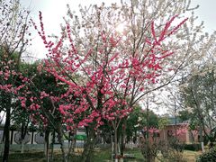 -西安汉城湖景区