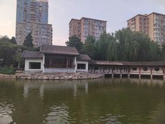 -团结湖公园