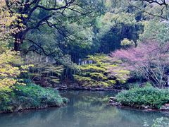-杭州植物园
