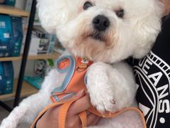 -佳雯宠物医院·皮肤科·内外科(春晓路分院)