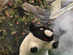 -龙江大舞台旗舰店
