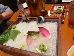 -月龍吟(朝龙汇店)
