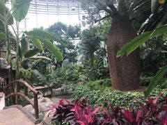-北京植物园-展览温室