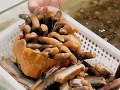 -四川小胡子海鲜(丁村万人海鲜广场店)