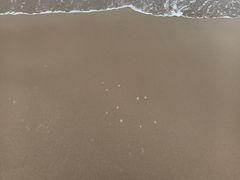 -大王村沙滩