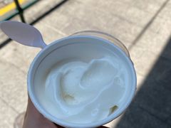 -洪馨椰子