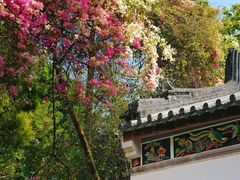 -深圳国际园林花卉博览园