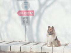 -南北湖风景区