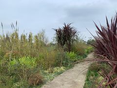 -云漫湖生态度假公园