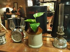 -The Daily Fix Cafe
