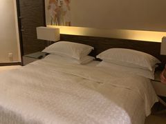 -芽庄喜来登水疗酒店
