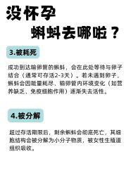 -北京嘉禾医疗