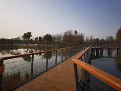 -东郊湿地公园