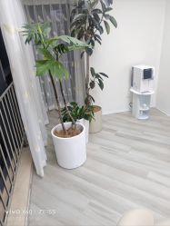 -HEYAN荷妍专业脱毛连锁机构