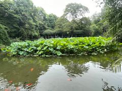 -成都杜甫草堂博物馆