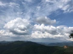 -天女山森林公园