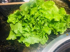 -刘幺八东北铁锅炖