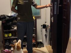 -多乐狗狗宠物训练工作室