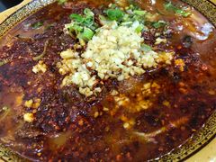 水煮牛肉-芳芳餐厅(白沙路店)