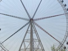 -济南国际园博园