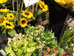 -豆豆花艺(新光天地店)