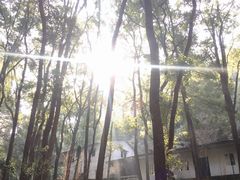 -伴山茶苑·一盏冰茶·半日山居