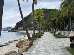 -日落吧·海景咖啡厅·餐酒吧·鸡尾酒·下午茶·乐队表演·浪漫夕阳·三亚文华东方酒店