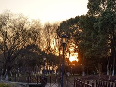 -龙格亲子游泳·水育早教运动中心(绿宝中心)