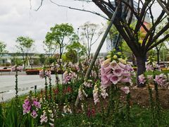 -诺亚财富中心