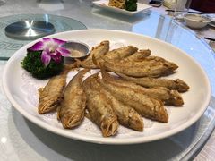 -金米箩大酒店(五角场店)