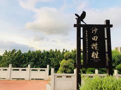 -大亚湾红树林城市湿地公园