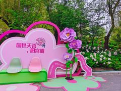 -太阳宫公园