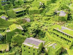 -枸杞岛