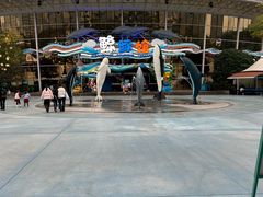 -海合安成都极地海洋公园