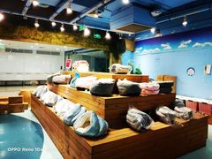 -龟与熊猫宠物公园(南坪店)