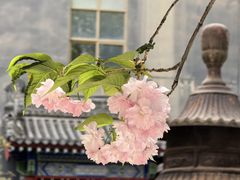 -罔极寺