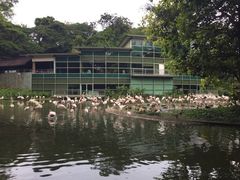 iphone_upload_pic-新加坡飞禽公园