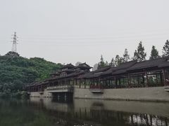 -重庆彩云湖湿地公园
