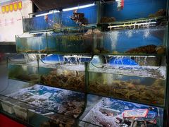 -桔子海鲜烧烤大排档(台东店)