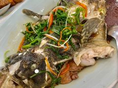 石斑鱼-良友·海鲜青岛菜(五四广场店)