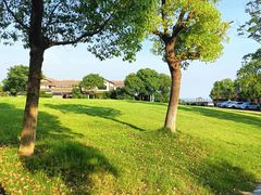 -苏州太湖湖滨国家湿地公园