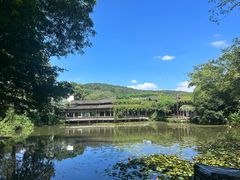 -绿茶餐厅(龙井船宴· 品牌总店)