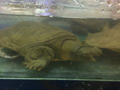 -青岛利群四方购物广场